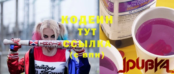 дмт Ладушкин