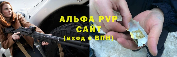 индика Тольятти