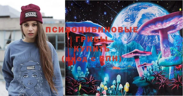 дмт Ладушкин